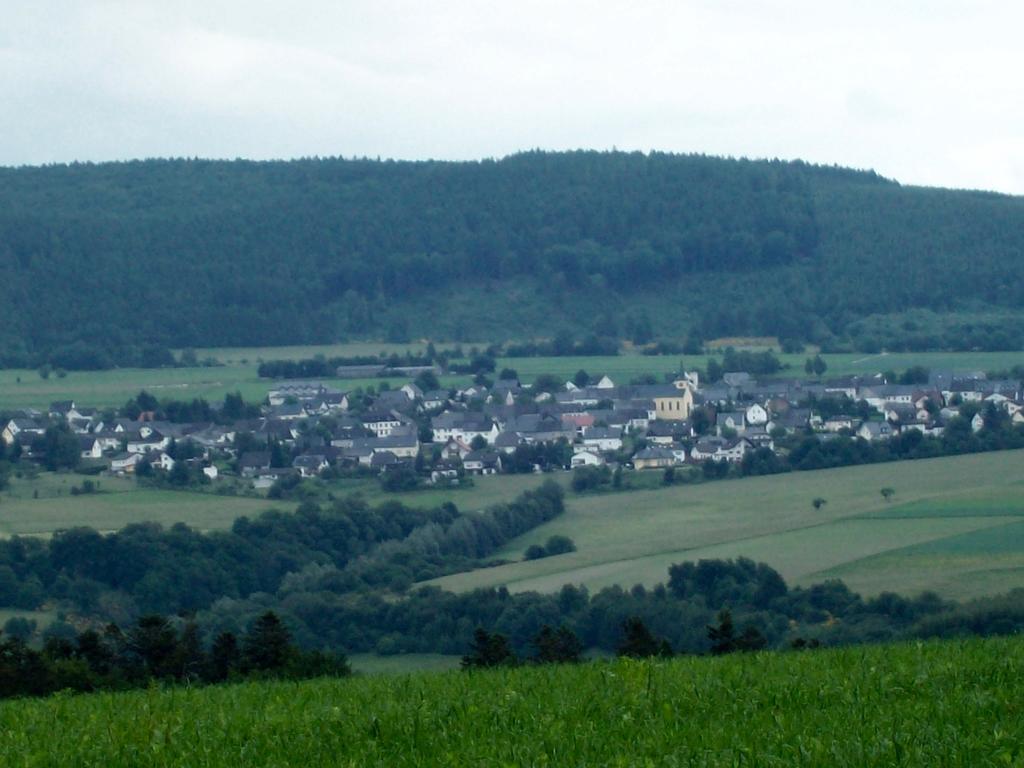 Ferienwohnung Hunsruecknest Malborn Esterno foto