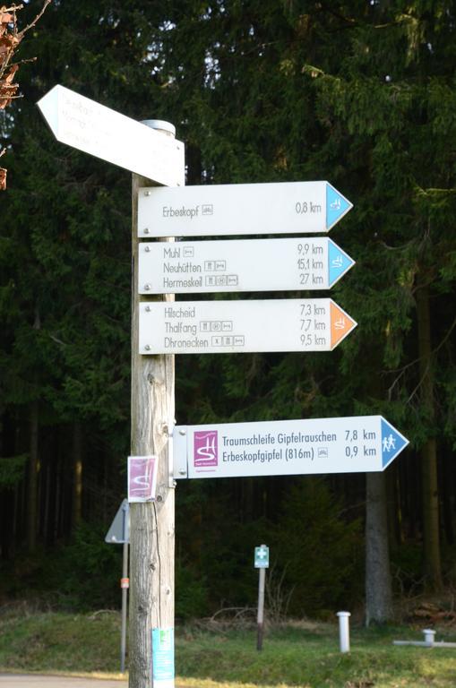 Ferienwohnung Hunsruecknest Malborn Esterno foto